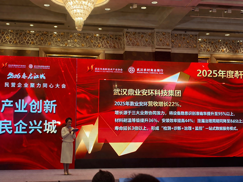 喜報！鼎業(yè)集團獲評「2025年度武漢民營企業(yè)增長樣本」